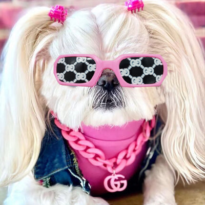 Doggo Classy Party Rare Sunglasses