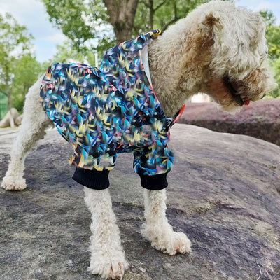 DD Classic Winter Lit Hoodie