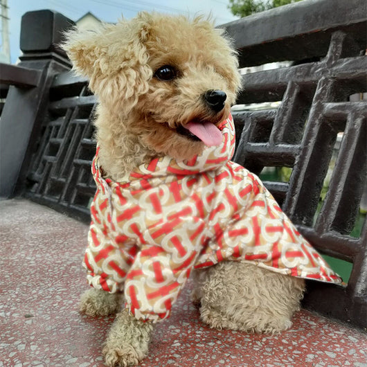 Veste de luxe Cool Drip