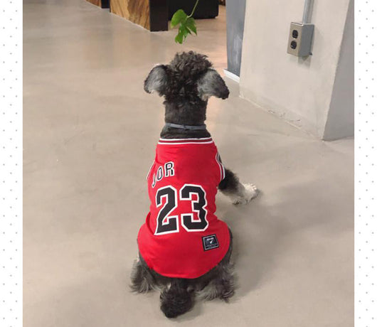 Jersey clásico para perros Legends n.° 23