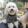 🧶 Big Dog DD Snuggle Knit Sweater