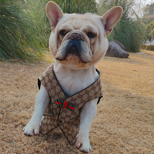 Gilet d'été GG Pup