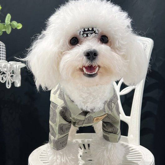 Big Dog Summer Vibes Shirt