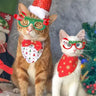 🕶️ Chirtsmas Decorative Doggo Party Rawcut Sunglasses