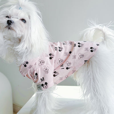 Big Dog Sweet Summer Shirt