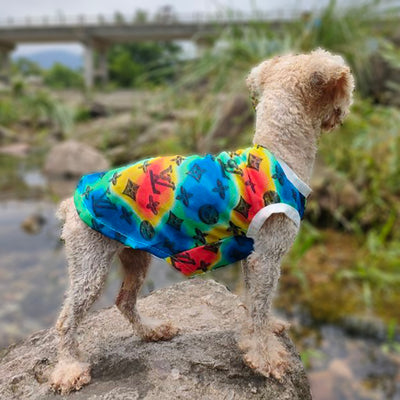 Cozy Canine Dog Juiced Sweater