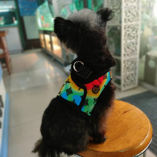 Stylish Paws Patterned Doggo Offbeat Harness