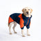 PAWSMOMENT Two-Tone Windbreaker