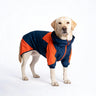 PAWSMOMENT Two-Tone Windbreaker