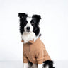 PAWSMOMENT Half-Zip Sweater