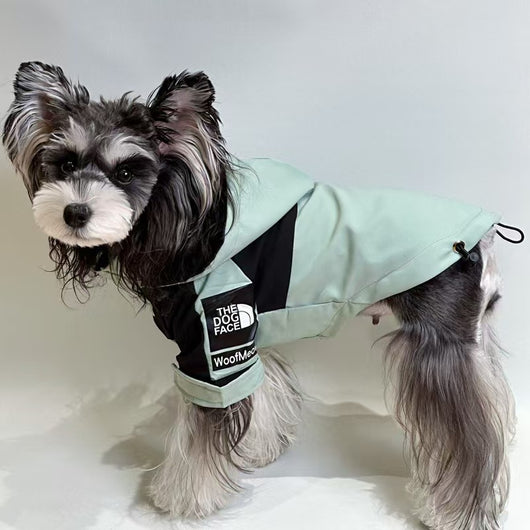 Pet Dog Heritage Clothes