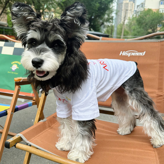 Pet Dog Clean Clothes