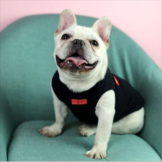 Dog Brand Flash Clothing