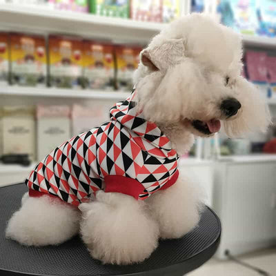 Winter Autumn Pet Whimsical Hoodies