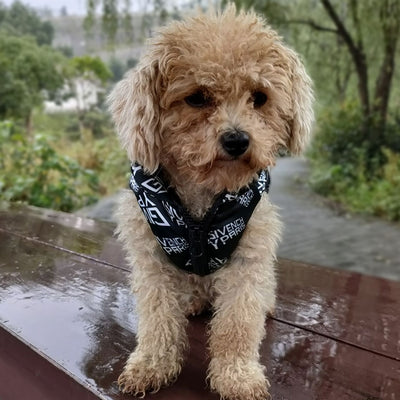 Doggo Winter Warm Thicken Waterproof Bold Jacket