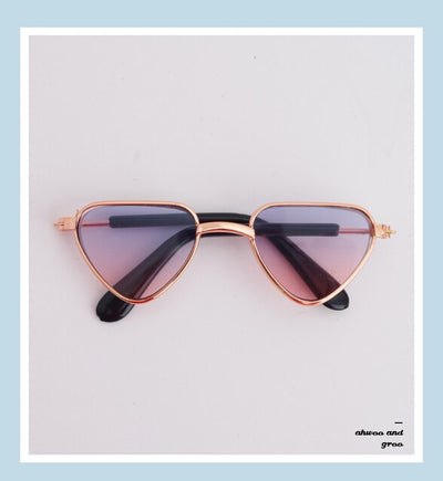 Doggie Moody Doggles