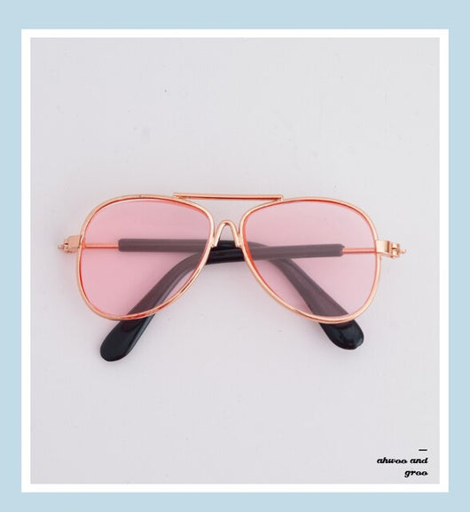 Doggie Moody Doggles