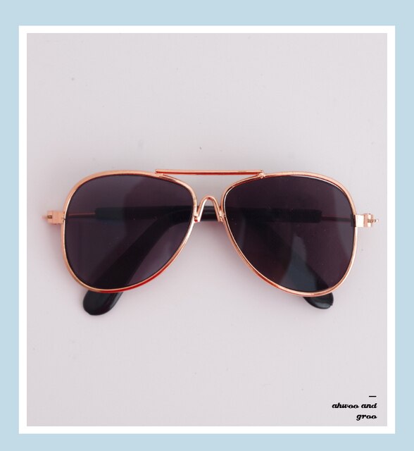 Doggie Moody Doggles