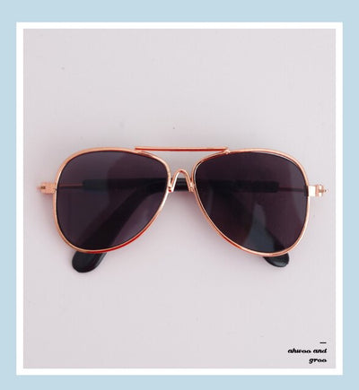 Doggie Moody Doggles