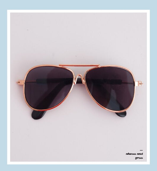 Doggie Moody Doggles