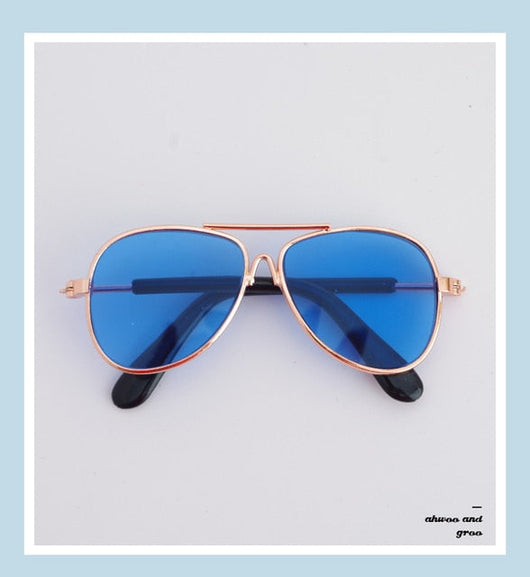 Doggie Moody Doggles