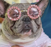 Sunnysniff shades