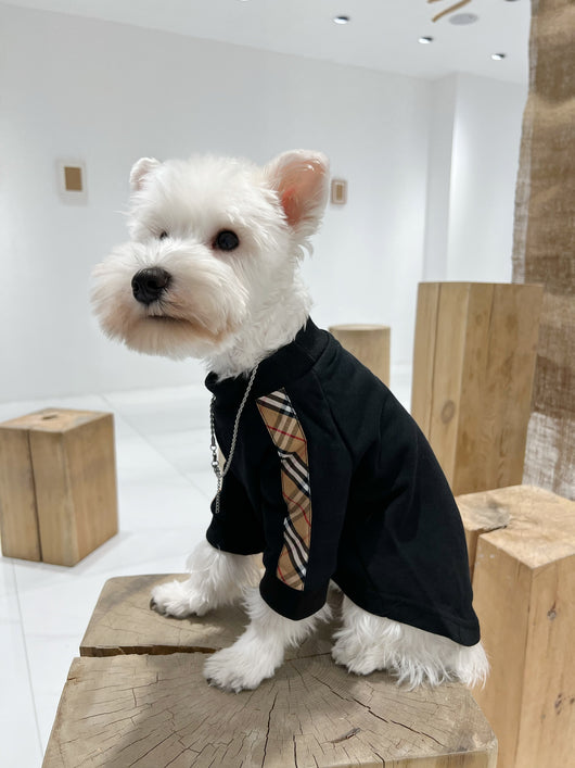 Pet Dog Moody Clothes