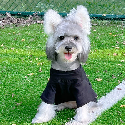 Pet Dog Lo-fi Clothes