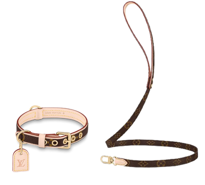 Amelia Dog Collar & Backspin Leash