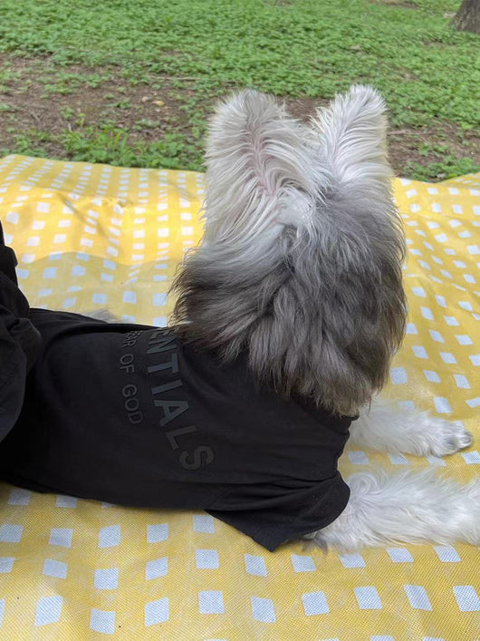 Pet Dog Lo-fi Clothes