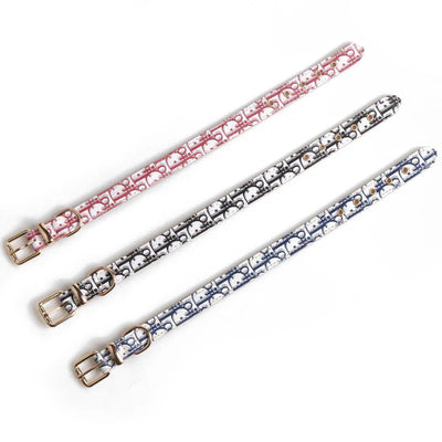 Donato Collar & Leash Dope Set