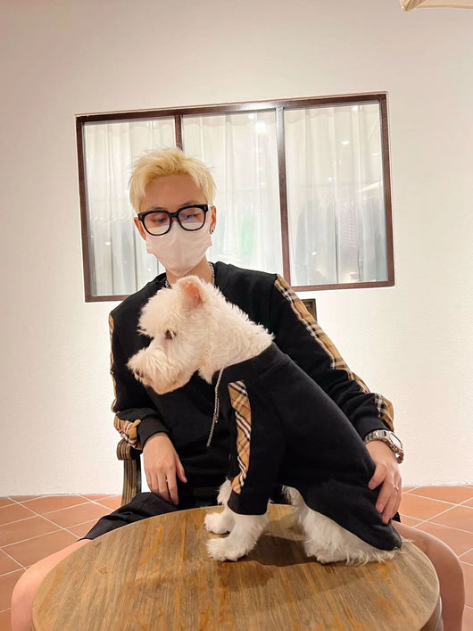 Pet Dog Moody Clothes