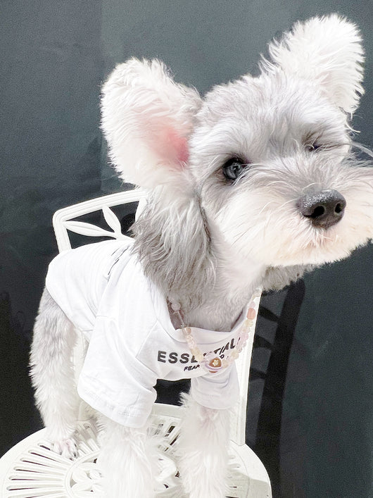 Pet Dog Lo-fi Clothes