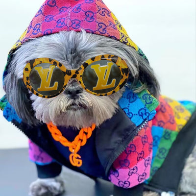 Doggo Classy Party Rare Sunglasses