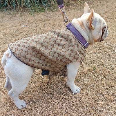 GG Pup Summer Vibrant Vest