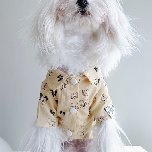 Big Dog Sweet Summer Shirt