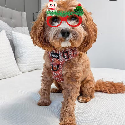Chirtsmas Decorative Doggo Party Rawcut Sunglasses