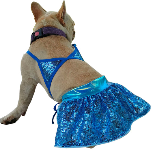 Paradise Dog Dusty Bikini