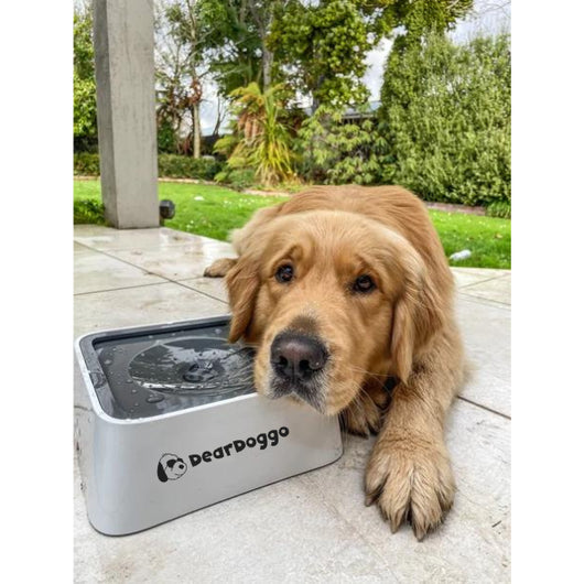 Dear Doggo Anti Splash Safe Dog Sleek Bowl