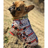 🧥 Dear Doggo Jacket - Premium Quality Dog Accessories