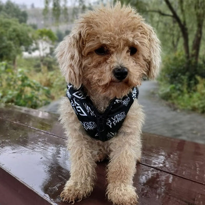 GIV Zippered Couture LitJacket