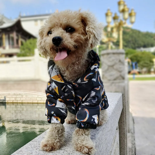 GG Hype Doggo Snatched Jacket