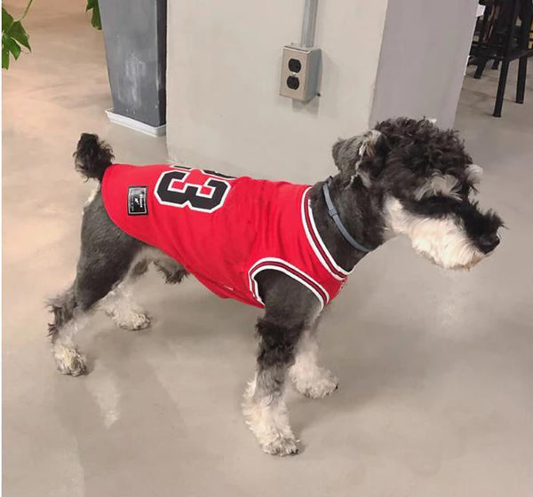 Legends Classic Doggo Whimsical Jersey