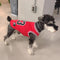 Legends Classic Doggo Whimsical Jersey