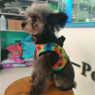 Stylish Paws Patterned Doggo Offbeat Harness