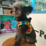 🐕 Stylish Paws Patterned Doggo Offbeat Harness
