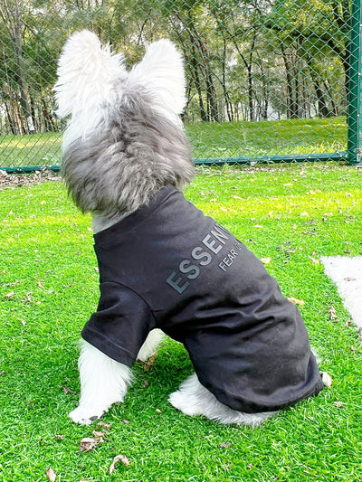 Pet Dog Lo-fi Clothes