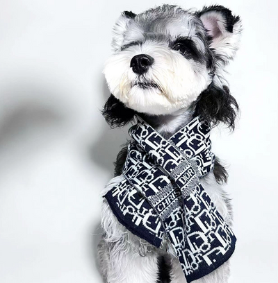 Doggo Pupior Sketchy Scarf