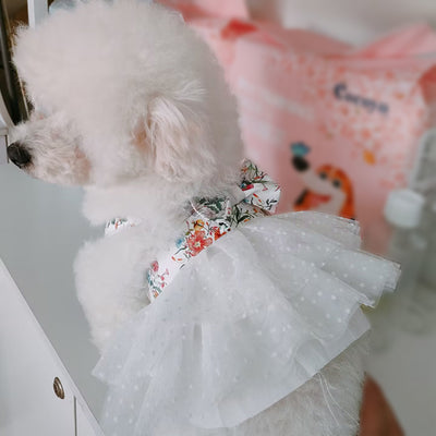 Doggo Luxury Fashion Spring Summer Fire Dress