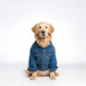 PAWSMOMENT Heritage Denim Trucker